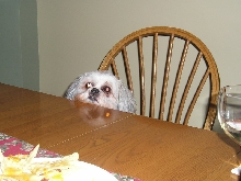 Can I have supper now