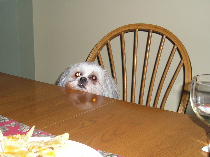 Can I have supper now