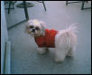 Chloe's new sweater