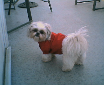 Chloe's new sweater