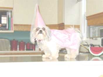 Princess Chloe
