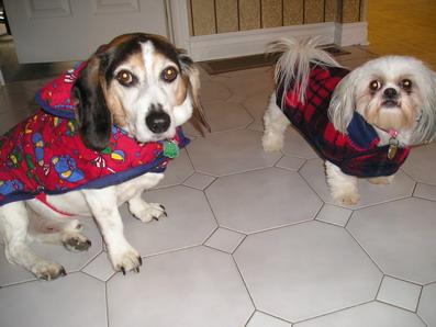 Chloe & Patch in winter coats