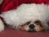 Chloe under hat
