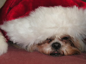 Chloe under hat
