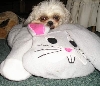 Chloe and Bunny