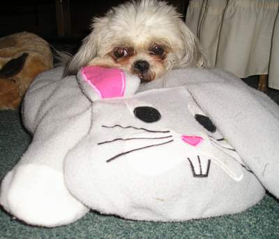 Chloe and Bunny