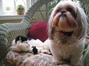 Chlloe and kitty