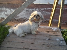 Chloe at beach