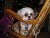 Chloe in rocking chair