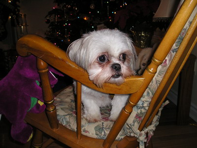 Chloe in rocking chair