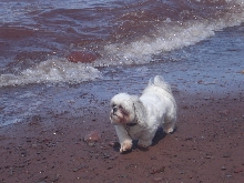 Jogging on the Beach