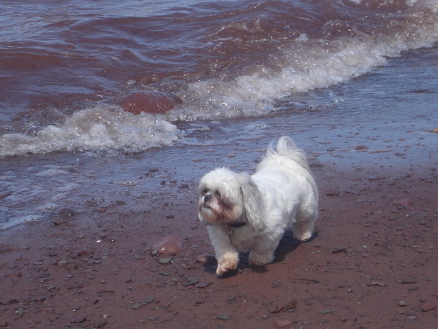 Jogging on the Beach