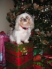 Chloe on gift