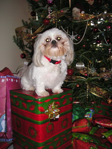 Chloe on gift