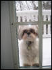 Chloe looking in