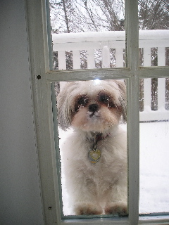 Chloe looking in