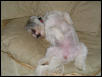 Tired Chloe