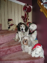 Christmas 06