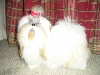 Furry Tzu