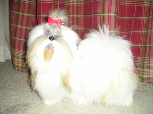 Furry Tzu