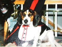 Young Patch with costume