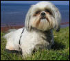 Chloe at beach
