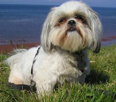 Chloe at beach