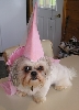 Not too happy Princess