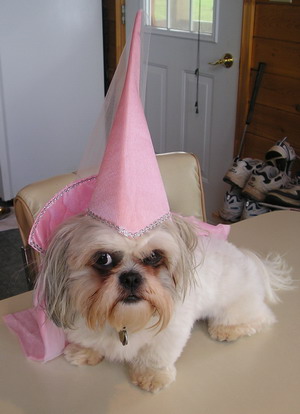 Not too happy Princess