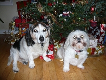 Christmas 2007