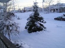 Snowy Street