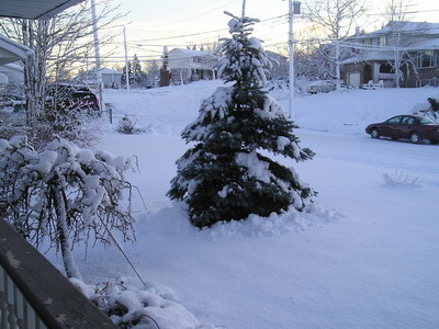 Snowy Street