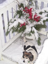 Patch on snowy stairs