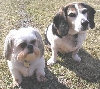 Patch & Chloe April 05