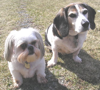 Patch & Chloe April 05