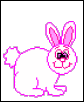 Bunny gif