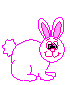 Bunny gif
