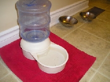 watering bowl