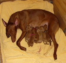 Babe's newborns!