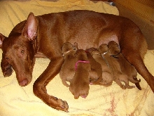 Babe's newborns!