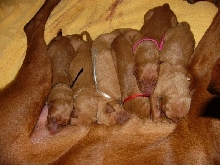 Babe's newborns!