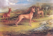 Nobility and Antiquity