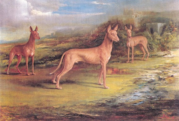 Nobility and Antiquity