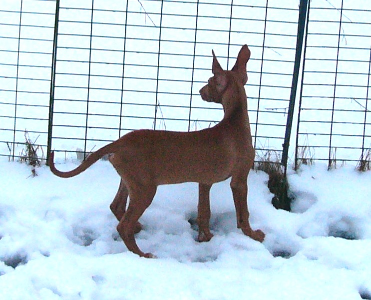Allan out in snow