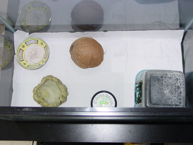 eko2