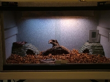 BRB Cage