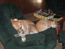 Rusty and Molly