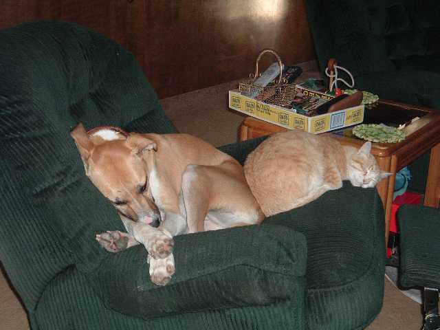 Rusty and Molly