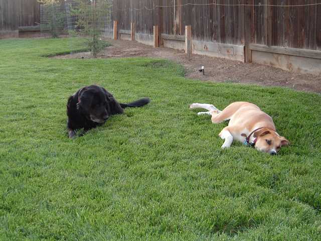 Mickey and Molly