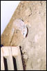 y. ackie 2